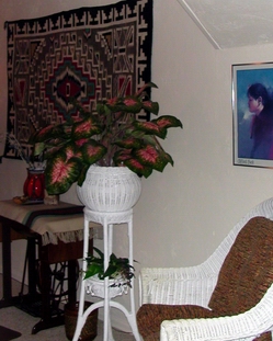 Fort Collins Therapeutic Massage Center